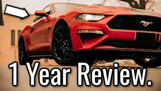 1 Year of Owning a 2019 Ford Mustang Ecoboost - Full Review