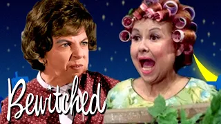 Chronicles of a Nosey Neighbor: Mrs. Kravitz' Funniest Moments | Bewitched