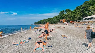 Пицунда. Кипарисовая Аллея. Пляж в Сосновом Заповеднике.