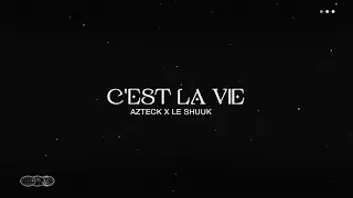 Azteck x Le Shuuk - C'est La Vie (Visualizer)