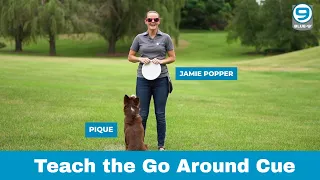 Disc Dog Training: Teaching the "Go Around" Cue