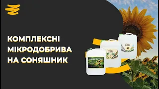 МІКРОДОБРИВА НА СОНЯШНИК ДЛЯ ПІДВИЩЕННЯ ВРОЖАЮ