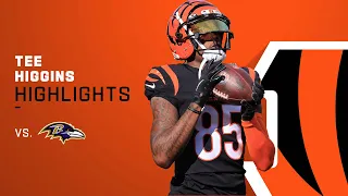 Tee Higgins Highlights from Week 16 | Cincinnati Bengals
