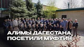 АЛИМЫ ДАГЕСТАНА ПОСЕТИЛИ МУФТИЯ