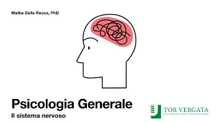 Psicologia Generale 22/23 - Il sistema nervoso