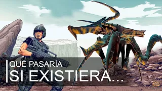 Si existiera | Arácnidos de Starship Troopers