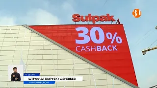 Как наказали дровосеков у Sulpak?