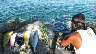 Rock fishing in Jamaica Catch N Cook amazing catch