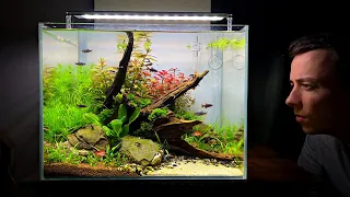 THE MYANMAR JUNGLE! New Setup For My Favorite Nano Fish! (Aquascape Tutorial)