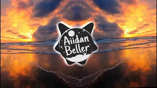 Afrojack  All night (feat. Ally Brooke ) -  (Aiidan Beller remix )