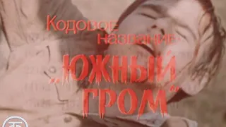 Кодовое название "Южный гром". Военно-приключенческий фильм. Серия 2 (1980)