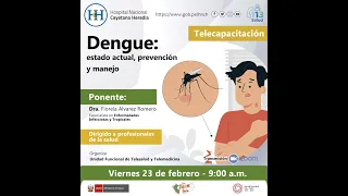Dengue: Estado actual, prevención y manejo