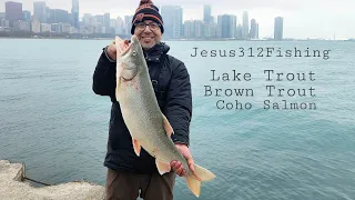 Chicago Fishing Trifecta! Laker, Brown Trout & Coho Salmon, WGN Radio Interview!