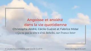 Comment lutter contre l'angoisse et l'anxiété ? (France Inter) - Audio