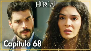 Hercai - Capítulo 68