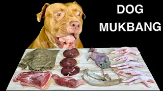 ASMR MUKBANG Pitbull Eating Raw Foods  Sheep kidney Quail Chicken feet Pork ribs Omasum Lamb