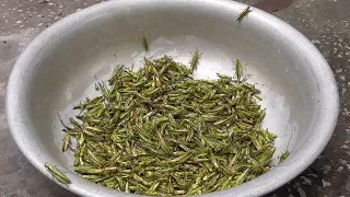 Vietnam street food - Cooking 1000 Grasshoppers for 4 People Family Dinner Meal in Vietnam