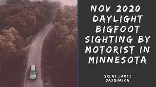 Nov 2020 Daylight Bigfoot Sighting by a Motorist in Minnesota #Bigfoot #sasquatch #encounterstory