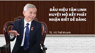 Dấu hiệu TÂM LINH quan trọng: Cách nhận biết MỘ PHÁT cần phải nắm được