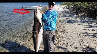 Caught the BIGGEST Cobia of my Life!!🔥🔥(Fishing Apollo Beach Florida)