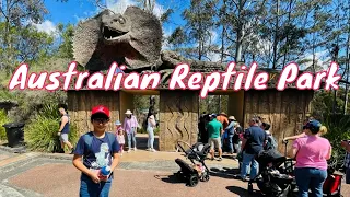 Reptile Show fun with Aayan Rayyan at Australian Reptile Park visit 2022 - Part 1