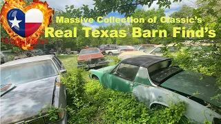 Real Texas Barn Finds, A Massive Collection of Classic Car's & Truck's 1950-80's