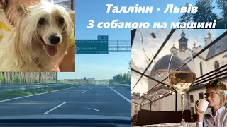 Таллінн - Львів. З собакою на машині