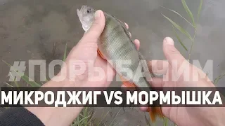 ЭТА СНАСТЬ ловит всё что можно! И что нельзя тоже. Рыбалка на ультралайт!