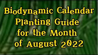 Biodynamic calendar|Planting Guide  for August 2022