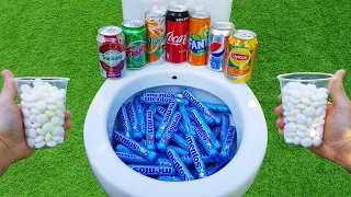 Coca Cola, Tropicana, Pepsi, Fanta, Yedigün, Lipton, Fruko and Mentos in the toilet