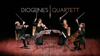 DQ - Beethoven Quartett op. 18/6