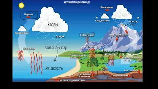 Круговорот воды в природе (видео 1)| Экология | Биогеохимический цикл