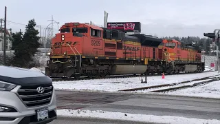 2 Train Catch in New Westminster (CN & BNSF)