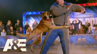 K9 Kai Beats This Season's Record for FASTEST Time | America's Top Dog (Season 1) | A&E