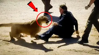 5 Mountain Lion Encounters You´re Not Meant To See
