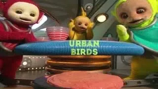 Teletubbies Urban Birds (Custom Version S2)