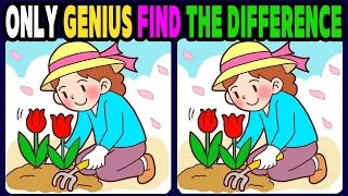 【Spot & Find The Differences】Can You Spot The 3 Differences? Challenge For Your Brain! 516