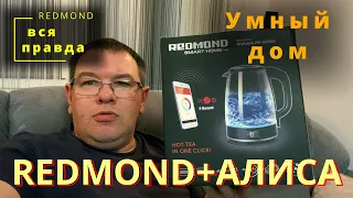 Вся правда про Redmond + Алиса . Умный дом .