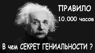 Правило 10 000 часов. В чём секрет гениальности? Отрывок из книги|Красная Таблетка 2|Андрей Курпатов