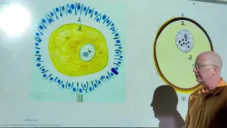 Professor Long's A&P II Lab Test 4:  Develooment 1