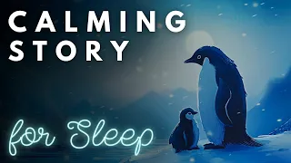 ❄️ The Perfect Story for Sleep ❄️ A Relaxing Cruise around Antarctica | A Calming Story for Sleep