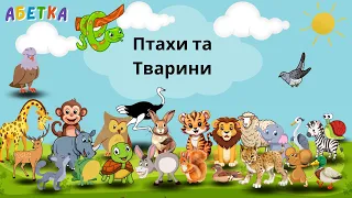 Дивовижний світ птахів та тварин | Розвиваючі відео для дітей | Навчальні Флеш-Картки