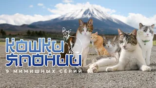 Кошки Японии. Документальный сериал. 9 серий.