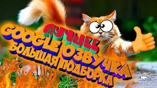 СМЕШНАЯ GOOGLE ОЗВУЧКА / БОЛЬШАЯ ПОДБОРКА МЕГА ВЫПУСК / ЛУЧШЕЕ / ЛУЧШИЕ ПРИКОЛЫ 2019