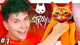 ВАМ кибер КОТИК не НУЖЕН? 🐈 СИМУЛЯТОР КОТА 🐈 Stray #1