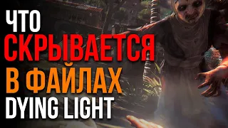 ЧТО НАХОДИТСЯ В ФАЙЛАХ ИГРЫ DYING LIGHT?