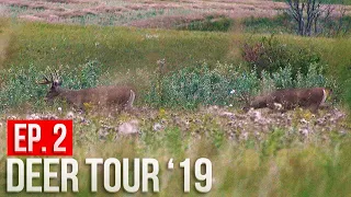 WE FOUND A BUCK NEST! - North Dakota Public Land Bowhunting | Deer Tour '19 E2