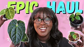 I Bought WAY TOO Many Anthuriums😨🌱 | Plant Haul