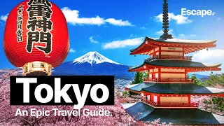 The 7 Best Things To Do In TOKYO | Japan Travel Guide 2024