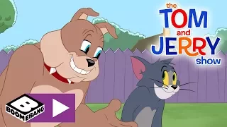 The Tom and Jerry Show | Can Tom and Spike Stop Fighting For Good? | Boomerang UK